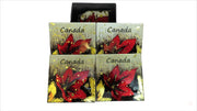 Canada Maple Leaf Square Tea Coffee Drink Coasters | Set of 4 Square Decorative Ceramic Stone Plates for Events, Parties and Home