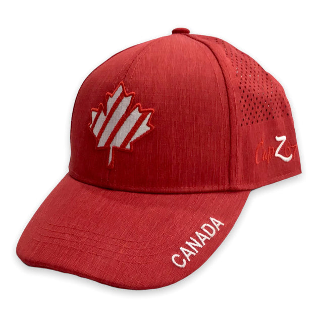 Premium Photo | Iconic Red Canadian Maple Leaf A Stunning Symbol of Natural Beauty Premium Photo | Iconic Red Canadian Maple Leaf A Stunning Symbol of Natural Beauty