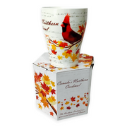 Canadian Northern Cardinal Mug with multi-color maple leaves tea cup and matching box