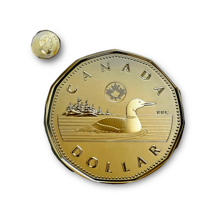 CANADA DOLLAR COIN MAGNET/Mx6 3.75 INCHES